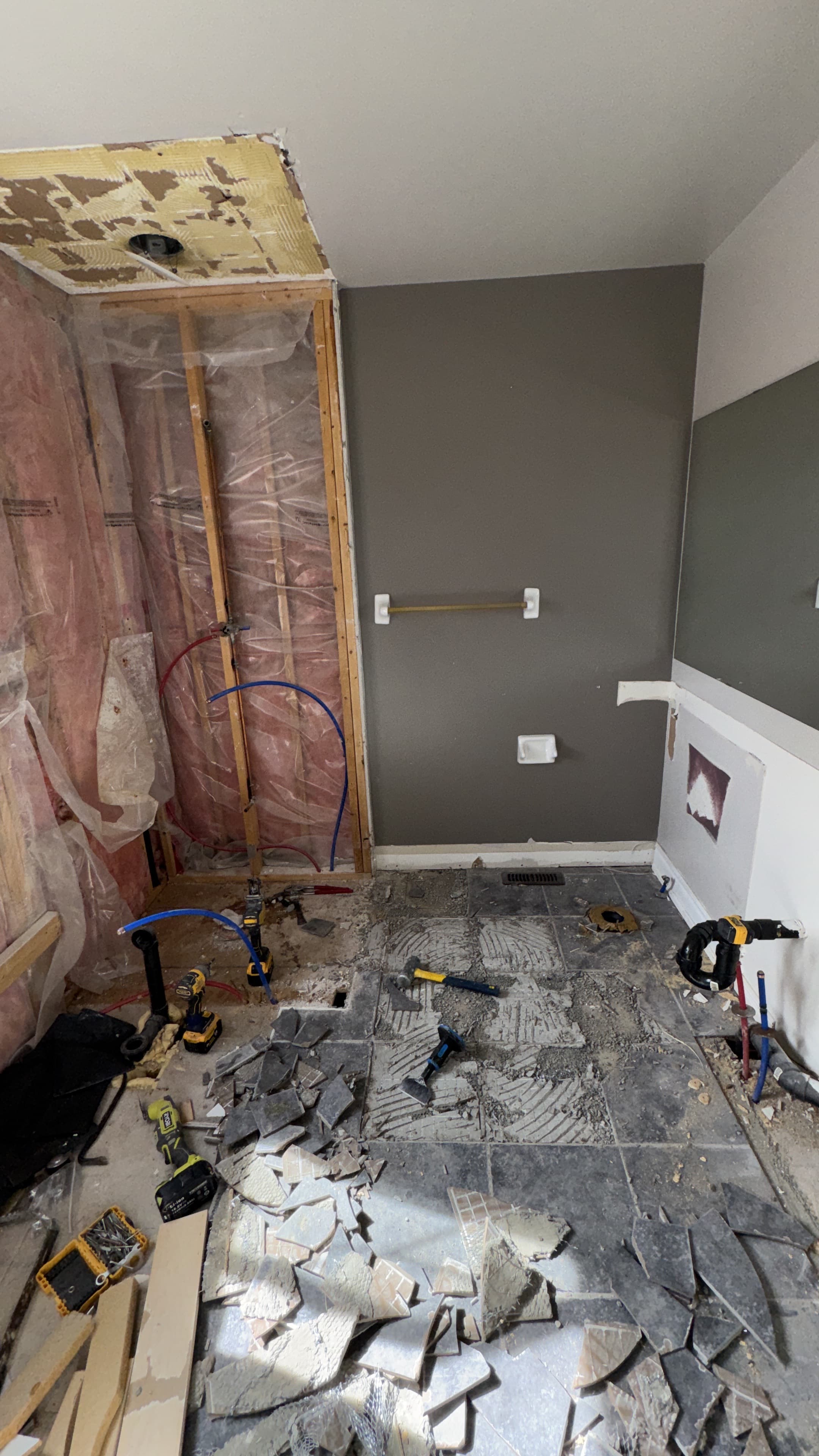 Bathroom demolition with exposed framing, plumbing, and removed floor tiles